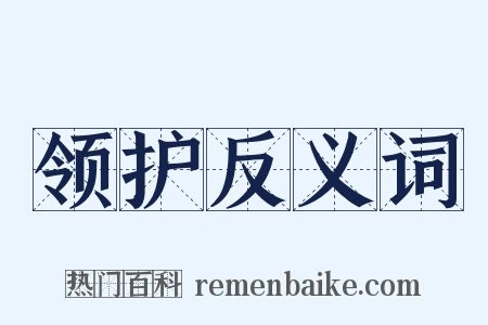 领护反义词是什么意思的图片